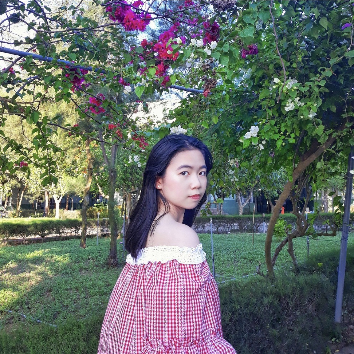 AMS - ams pinkchubby 1